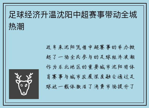足球经济升温沈阳中超赛事带动全城热潮
