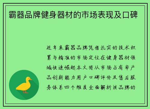 霸器品牌健身器材的市场表现及口碑