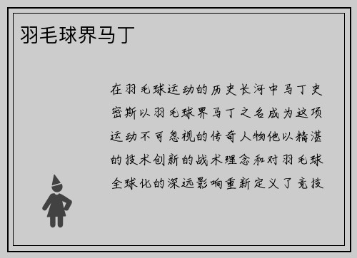 羽毛球界马丁