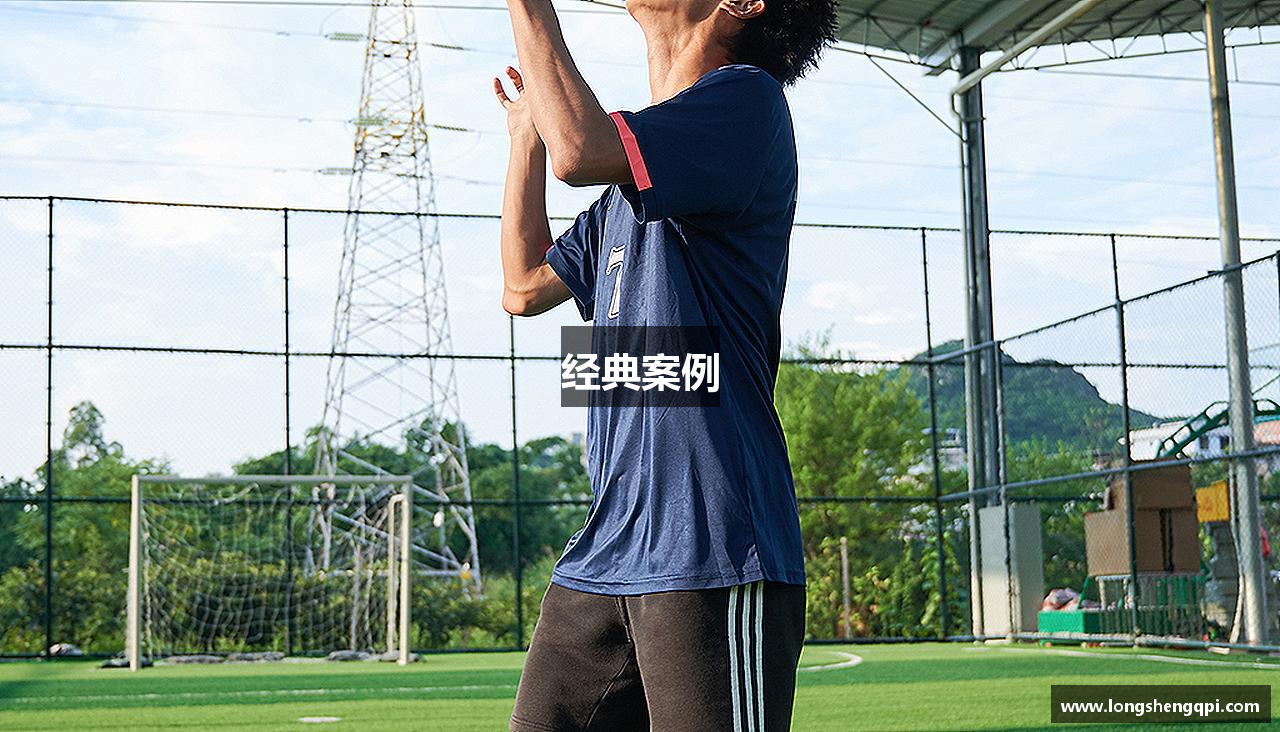 经典案例