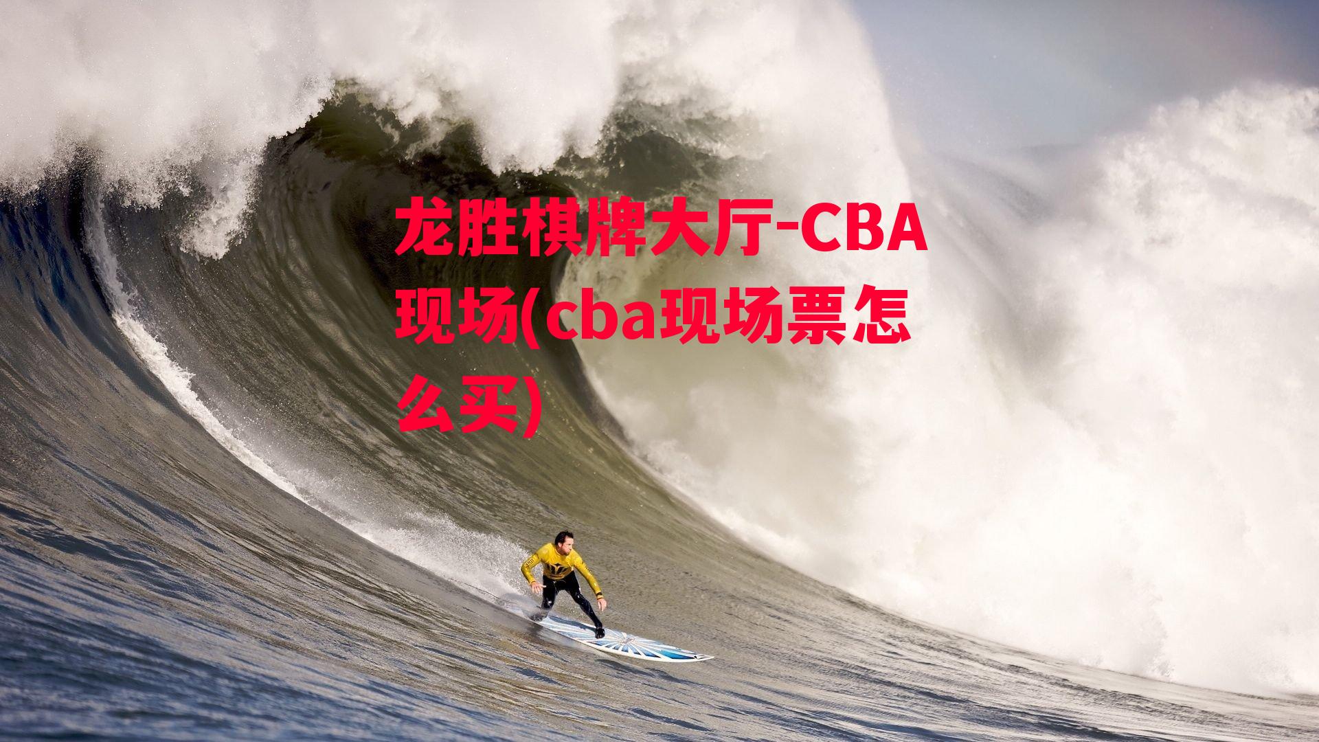 CBA现场(cba现场票怎么买)